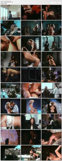 Lingerie Busters [1992]