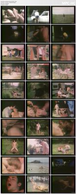 Gemissements De Plaisir [1982]