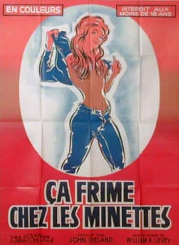 Ca Fremit Chez Les Minettes, Ca Fremit Dans Lentre-Cuisse [1980/vhsrip]
