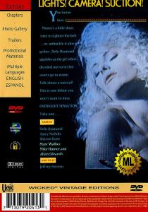 Overnight Sensation [1992/webrip]