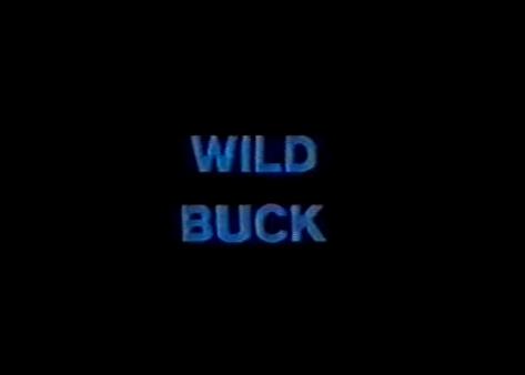 Wild Buck [1993]