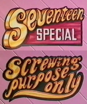 Seventeen Special. Screwing Purpose Only