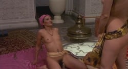The Degradation Of Emanuelle [1977]