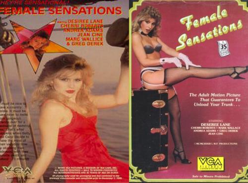 Female Sensations [1983]