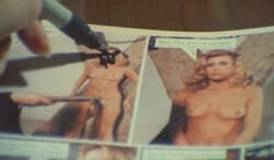 Scusi, Lei È Normale? [1979]