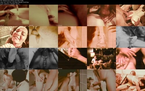 Abstract Anal [1970's]