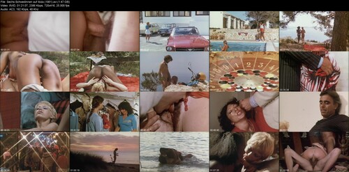 Sechs Schwedinnen Auf Ibiza [1981]
