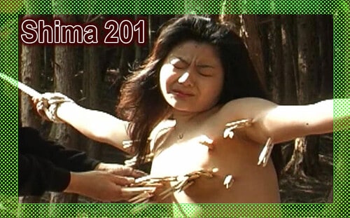 Shima 201