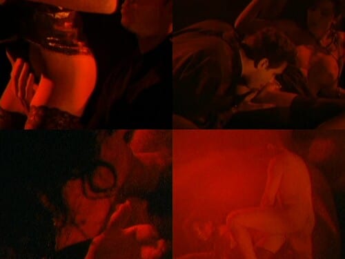 Fantasy Chamber [1994] - Anna Malle, Steven St Croix