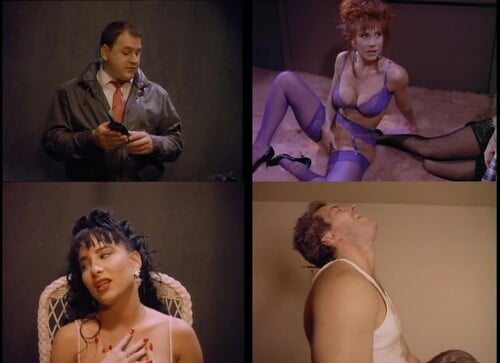 New Wave Hookers 2 [1991] - Danielle Rodgers, Randy Spears