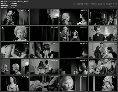 Red Roses Of Passion [fullhdrip]
