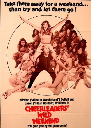 The Great American Girl Robbery 1979