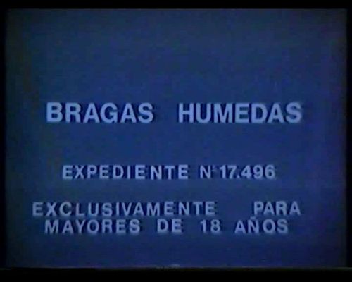 Bragas Humedas