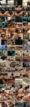 Viaggio D'affari [1994]