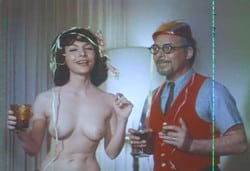 Strange Loves Of Dr Sex [1964]