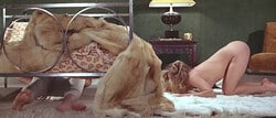 Calmos [1976]