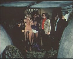 Autostop Lustreport [1974]