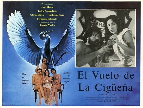 El Vuelo De La Ciguena