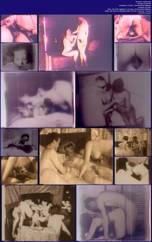 The Golden Age Of Erotic Video 3 Reup