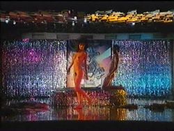 El Primer Torero Porno