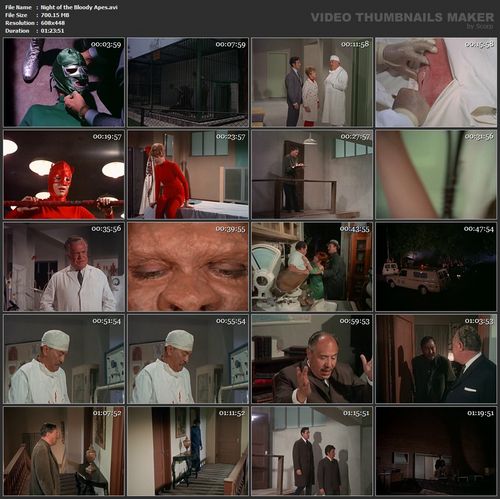 Night Of The Bloody Apes
